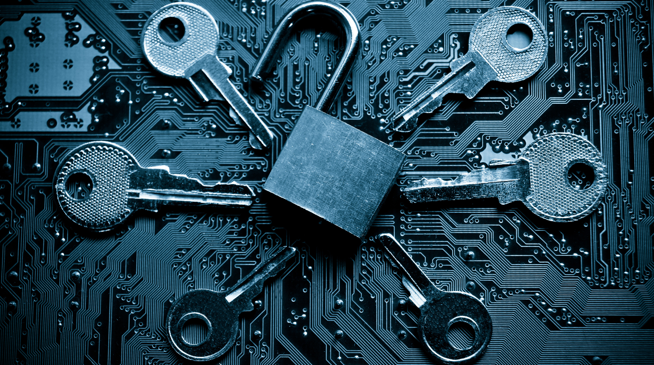 What are the different types of Vulnerabilities in cyber security?