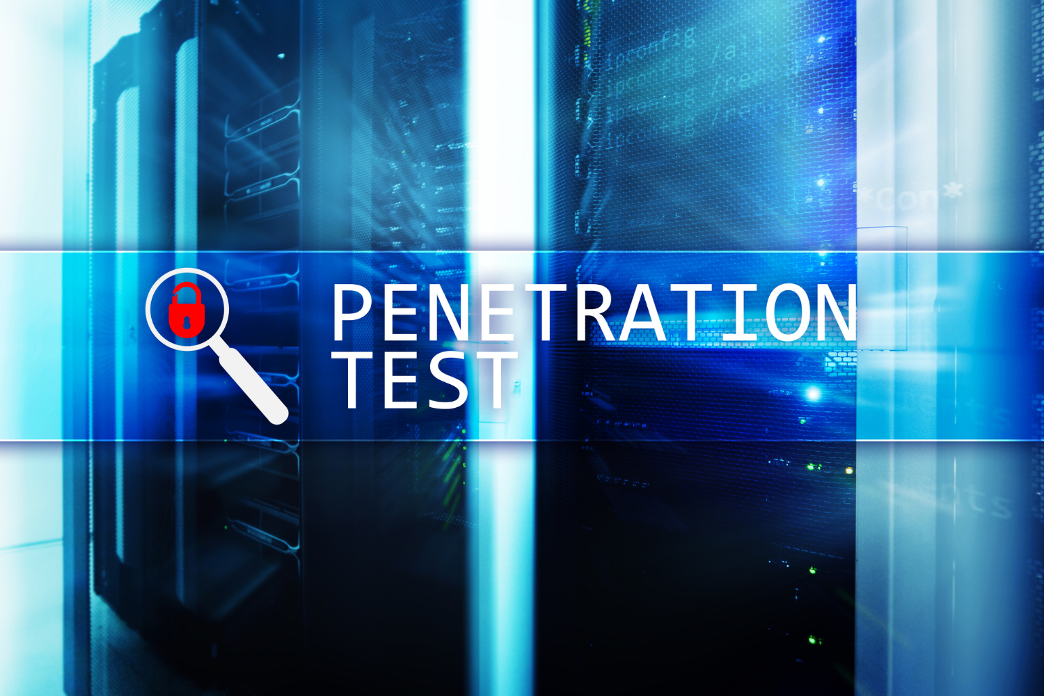 The Penetration Testing, Red Teaming, Vulnerability Assessments Debate: Which one is right for your Business?